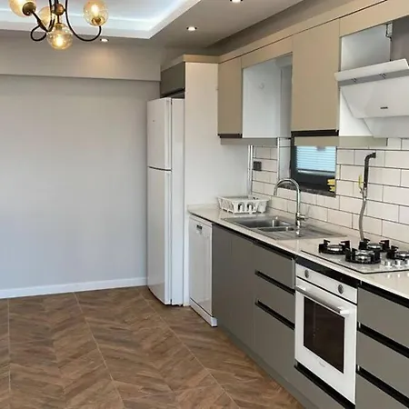 6+2 Luxurious With View In Sapanca Villa