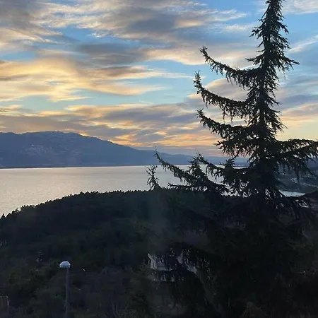 6+2 Luxurious With View In Sapanca Villa *