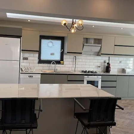6+2 Luxurious With View In Sapanca Villa Serdivan