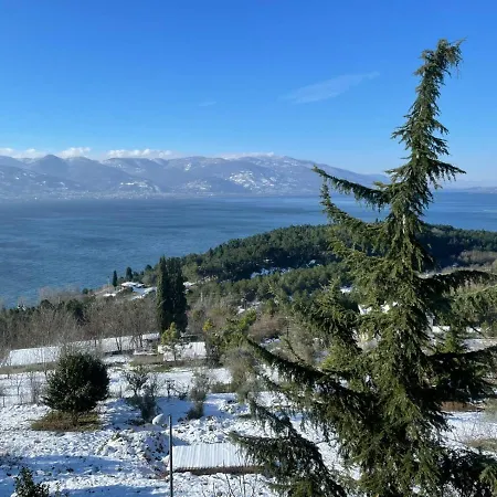 6+2 Luxurious With View In Sapanca