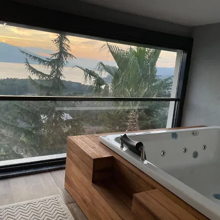 6+2 Luxurious With View In Sapanca Villa